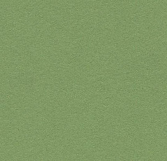 Линолеум Forbo Bulletin Board 2213 baby lettuce фото 1 | FLOORDEALER